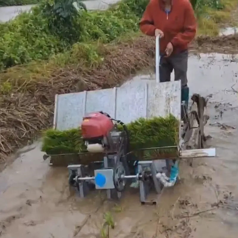 4-Row Manual Agricultural Equi - Agriculture Farming Rice review and price